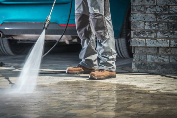 Best Soft Washing  in Colton, CA