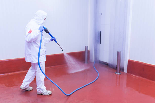 Best Warehouse Cleaning  in Colton, CA